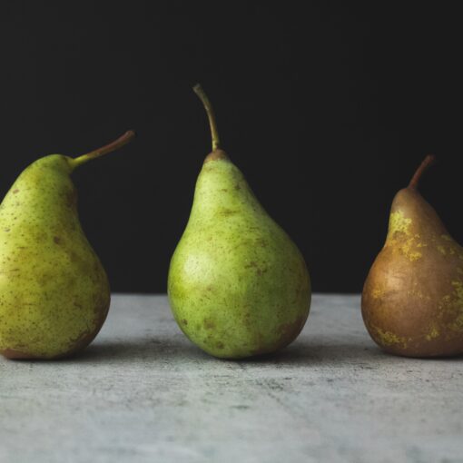 tijana-drndarski-3zmVSZQIozA-unsplash